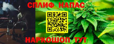 гидра Бузулук