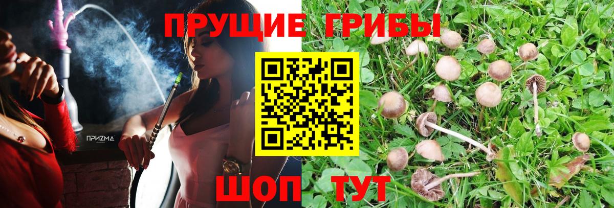 Рязань  Псилоцибиновые грибы прущие грибы  Вход с VPN  Галлюциногенные грибы Magic Shrooms 
