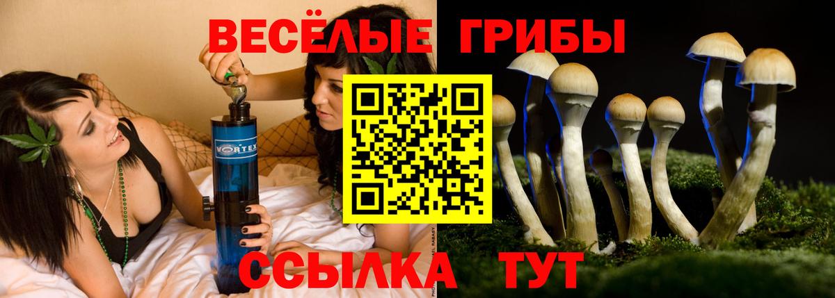 Галлюциногенные грибы Magic Shrooms Рязань